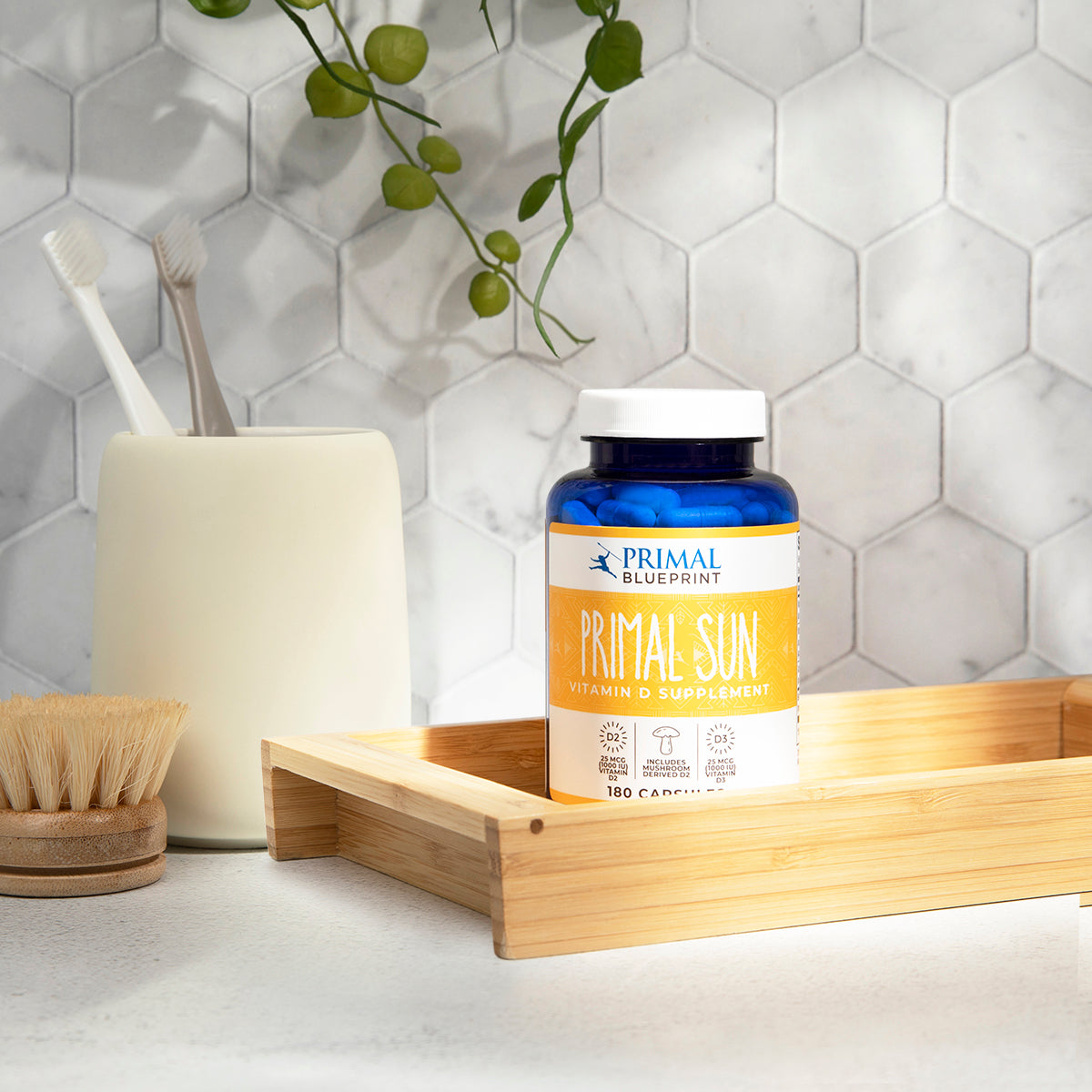 Primal Sun (Vitamin D)